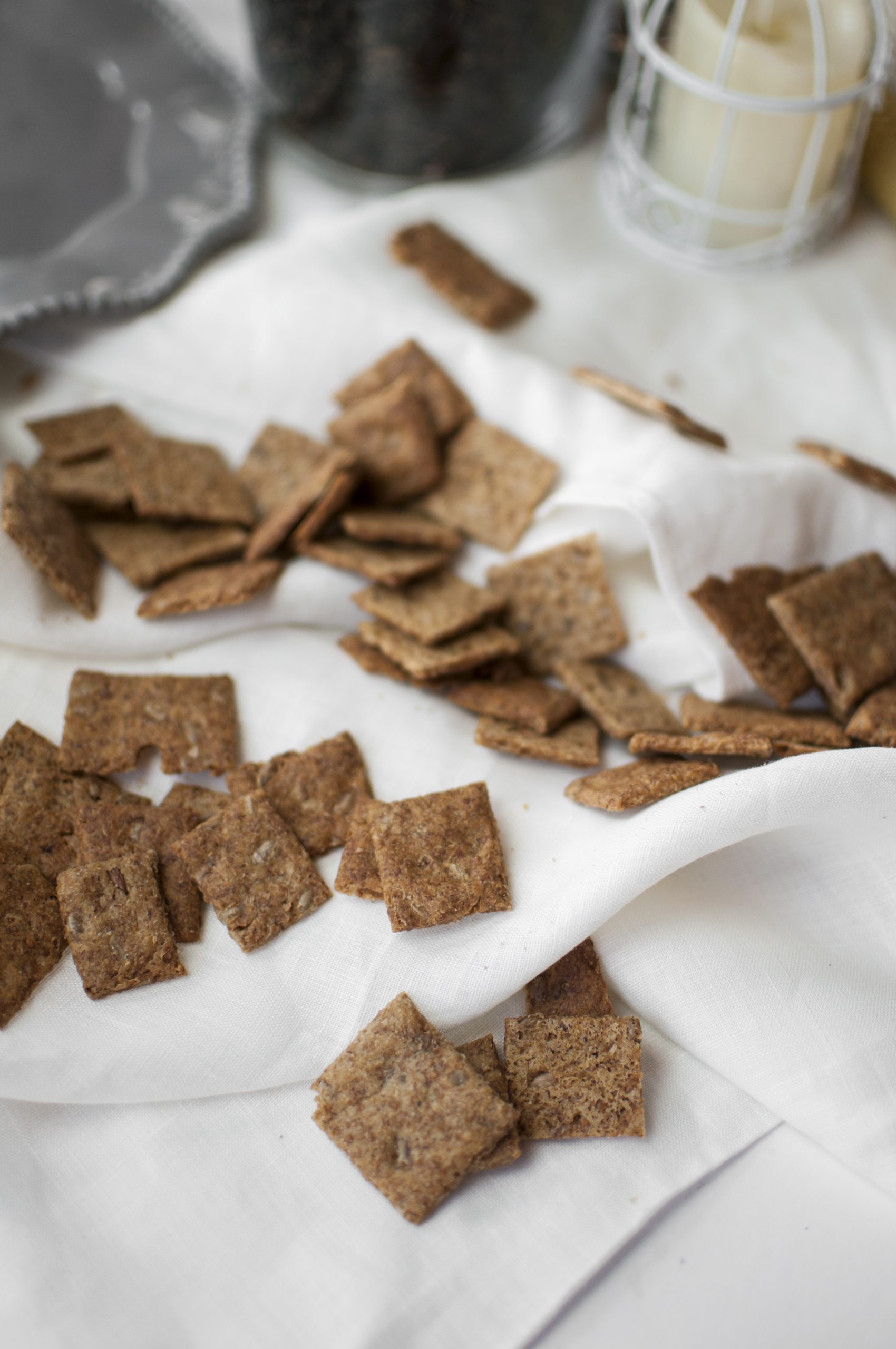 Крекеры из пророщенного зерна на закваске (семечки)